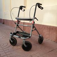 CARRELLO DEAMBULATORE