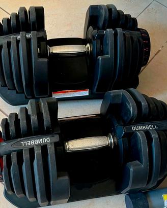 Manubri regolabili fino a 40 kg