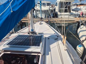 Barca a Vela Altura  601 + Suzuki 6 cv