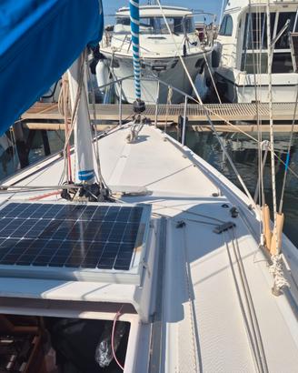 Barca a Vela Altura  601 + Suzuki 6 cv