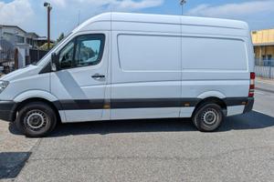 Sprinter 313