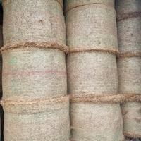 Fieno maturo loietto 2025