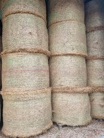 Fieno maturo loietto 2025