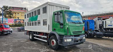 IVECO EUROCARGO 180E28 TRASPORTO ANIMALI VIVI-B
