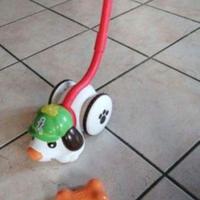 cagnolino trova l'osso