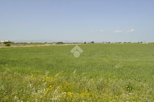 TER. AGRICOLO A FOGGIA