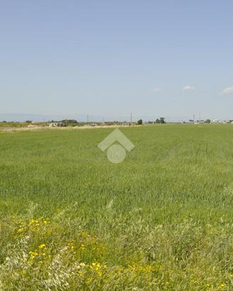 TER. AGRICOLO A FOGGIA