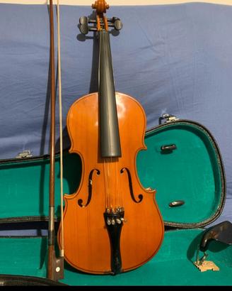 violino