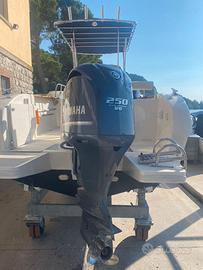 Fuoribordo Yamaha 250cv