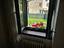 Immagine 16