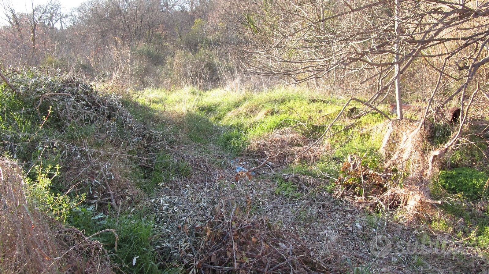 Terreno vicino ascoli - Vista 4