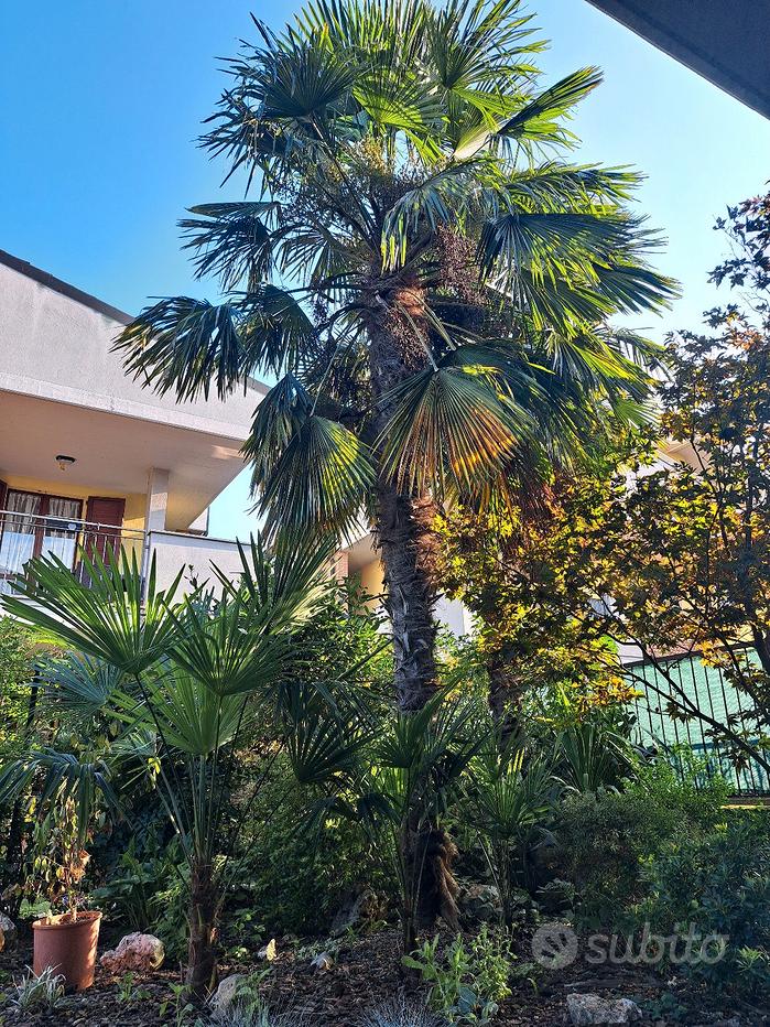 Serratura per basculante/garage chiave LUNGA doppi - Giardino e Fai da te  In vendita a Bergamo