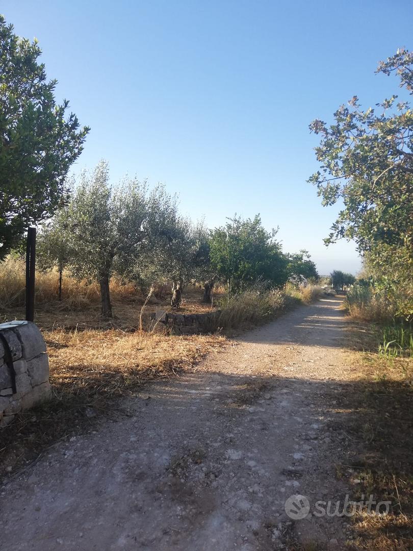 Proprietà rurale a Modica - Vista 2