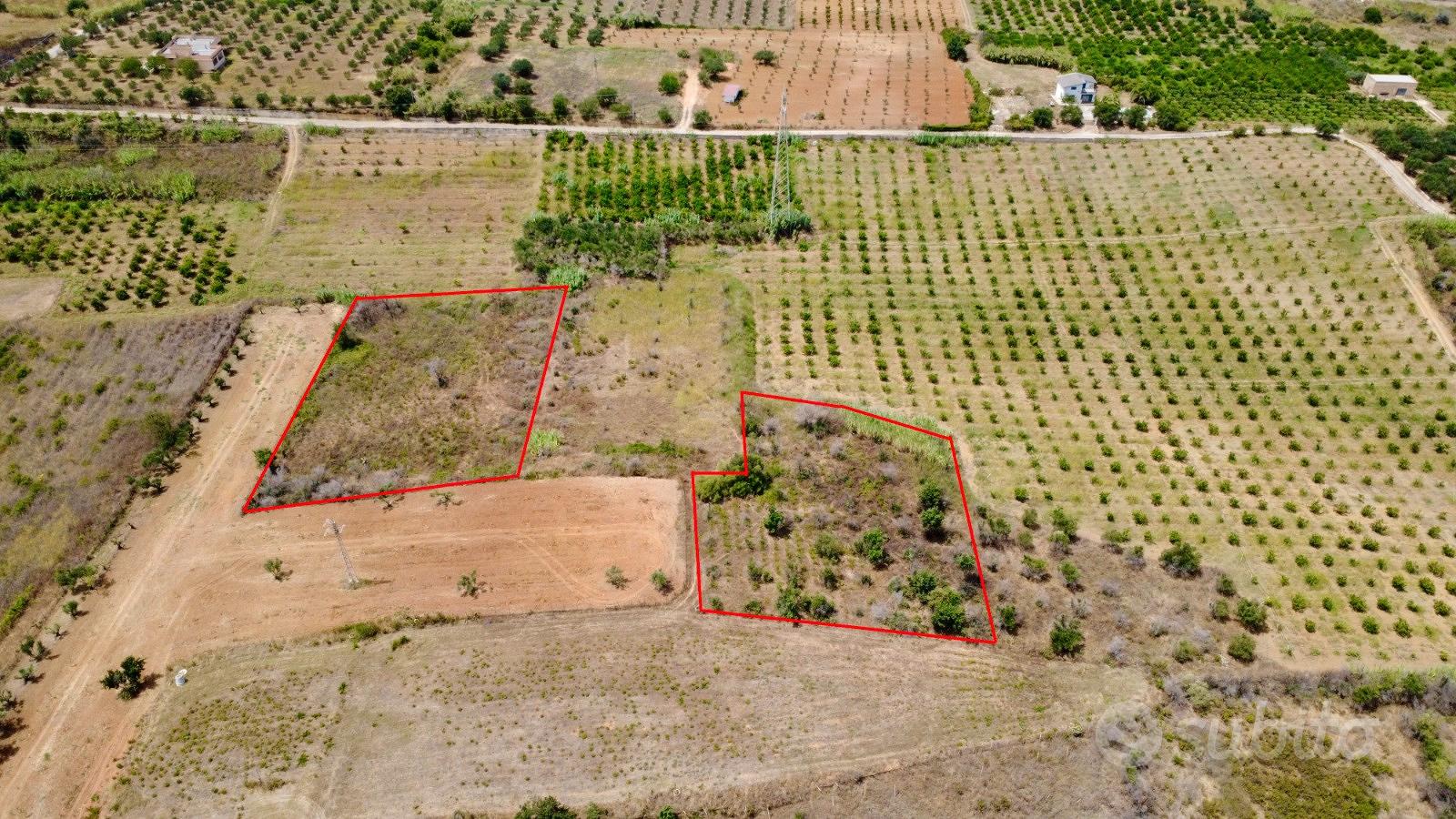 Terreno agricolo a Partinico, Contrada Cannizzaro - Vista 2