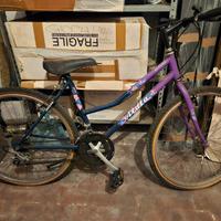 Mountain bike Atala da rivedere