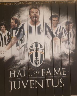 Collana di 12 DVD "Hall of Fame Juventus"