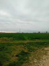 Terreno agrico 15 biolche m Roverbella (mn)