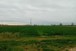 Terreno agrico 15 biolche m Roverbella (mn)