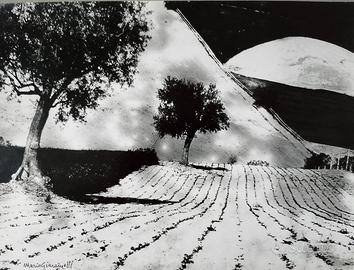 MARIO GIACOMELLI 