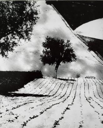 MARIO GIACOMELLI 