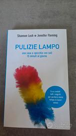 Pulizie lampo.