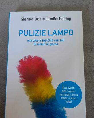 Pulizie lampo.