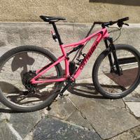 specialized Epic carbon special ediction acid Pink