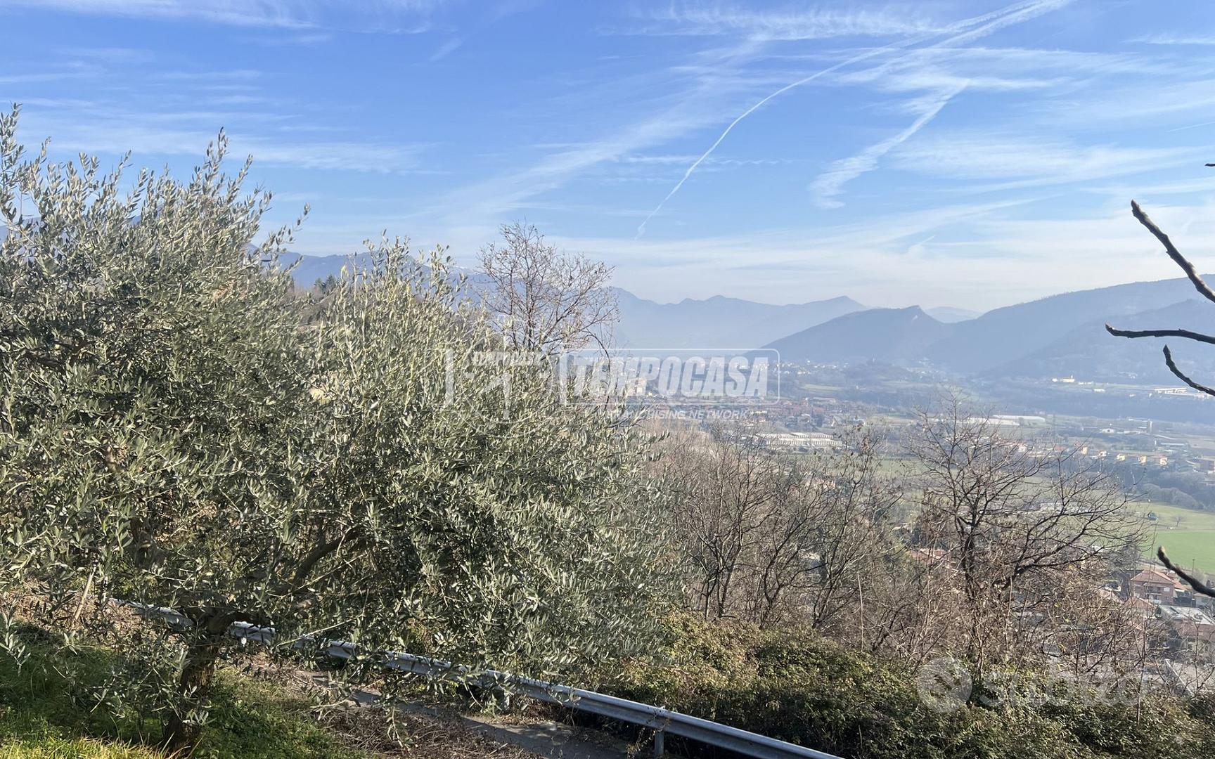 TERRENO AGRICOLO CON VISTA PANORAMICA - Vista 2