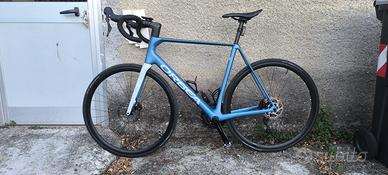 Orbea orca