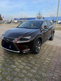 Lexus NX 300h Hybrid 2020 – Full Optional