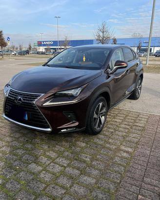 Lexus NX 300h Hybrid 2020 – Full Optional