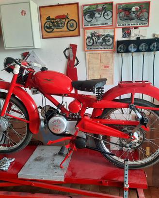 MOTO GUZZI CARDELLINO 65 DEL 1956