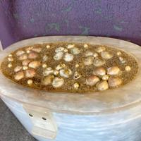 Borsetta U.S.A anni 50 lucite madreperlata WILARDY