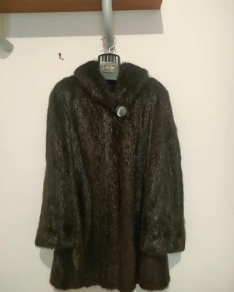 Pelliccia castorino