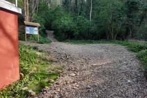 Terreno sui Colli Euganei