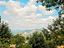 Immagine 20