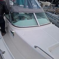 White Shark 237 walkaraund