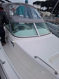 White Shark 237 walkaraund