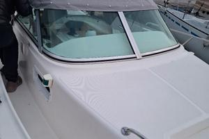 White Shark 237 walkaraund