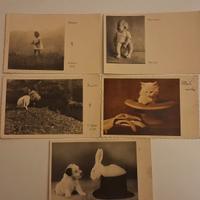 Simpatiche cartoline anni '30