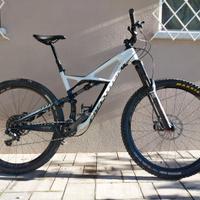 MTB specializzed enduro carbon 29 taglia L
