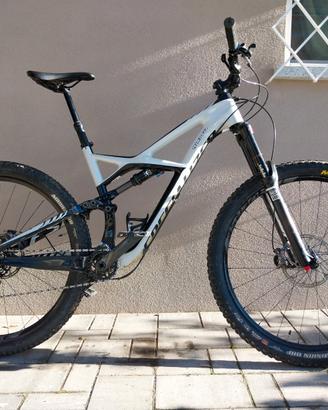 MTB specializzed enduro carbon 29 taglia L