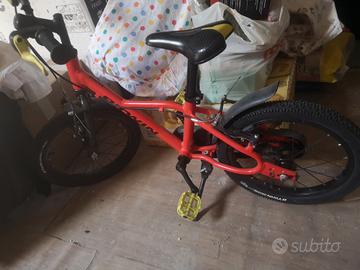 bicicletta 
