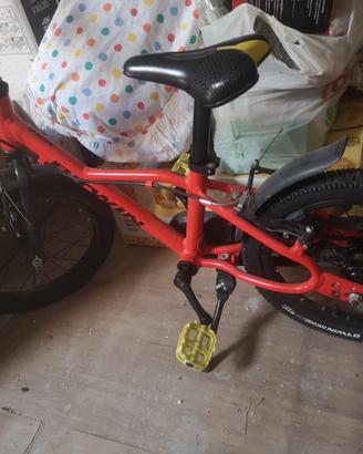 bicicletta 