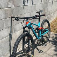MTB Trek Remedi 9