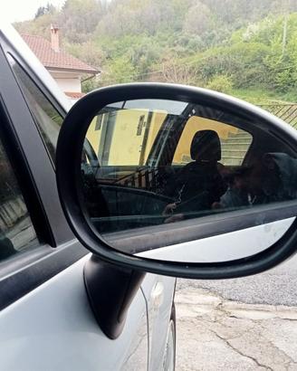 Specchietto Punto Evo