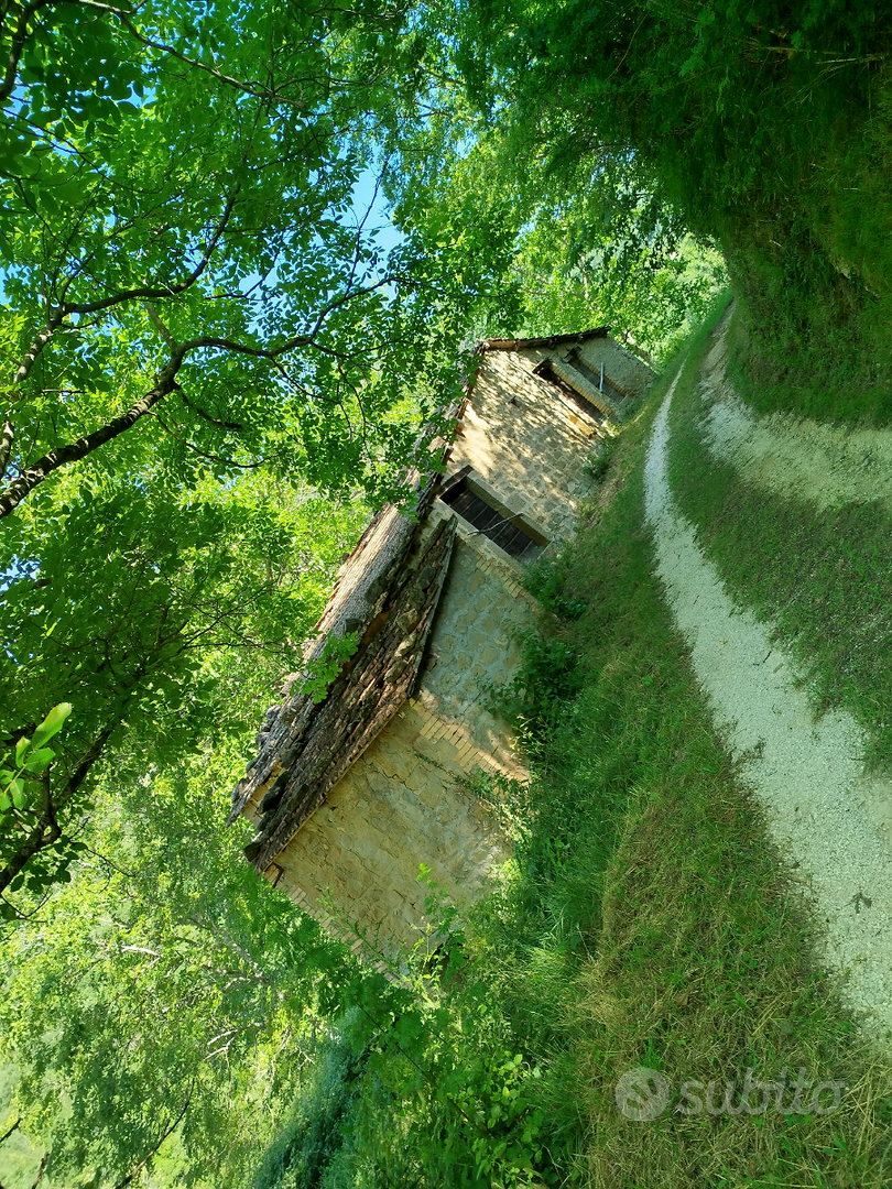 Casolare più terreno - Vista 5