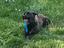Immagine 4