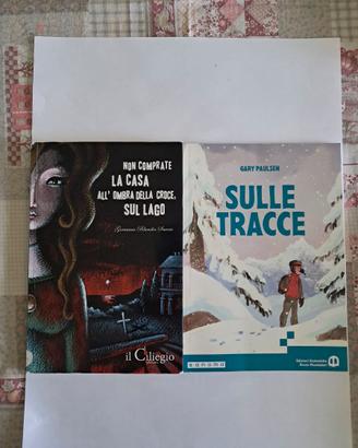 2 libri non comprate la casa sull'ombra della croc