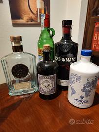 Bottiglie Gin 